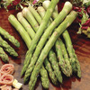 Image of Mary Washington Improved Asparagus