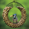 Image of Peanut Wreath Feeder