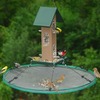 Image of 24” Seed Hoop