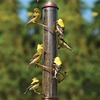 Image of Copper Spiral Nyjer Feeder - 17"