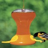 Image of Fliteline Junior Oriole Feeder