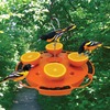 Image of Ultimate Oriole Feeder
