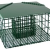 Image of The Suet Palace