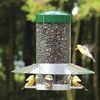 Image of Classic Hanging Feeder