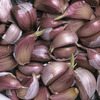 Image of Siberian Organic Garlic